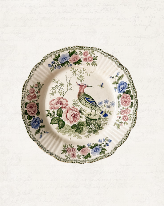 Antique English Polychrome Transferware Bird Plate