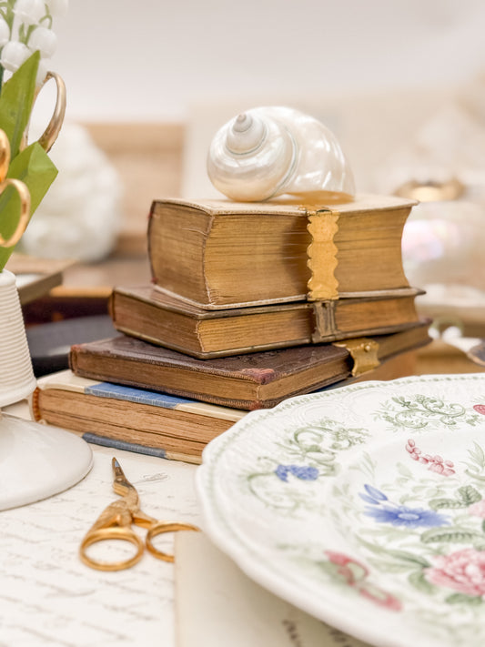 Pair of Antique Leather Clasped Books