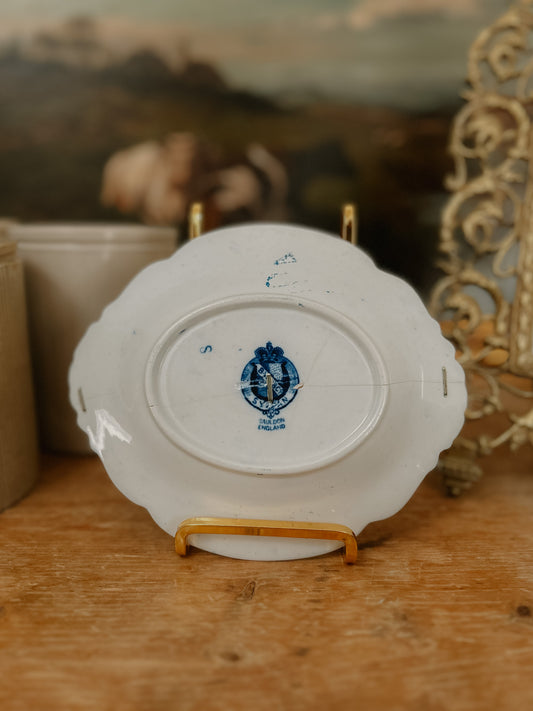 Three Staple Repair Plate