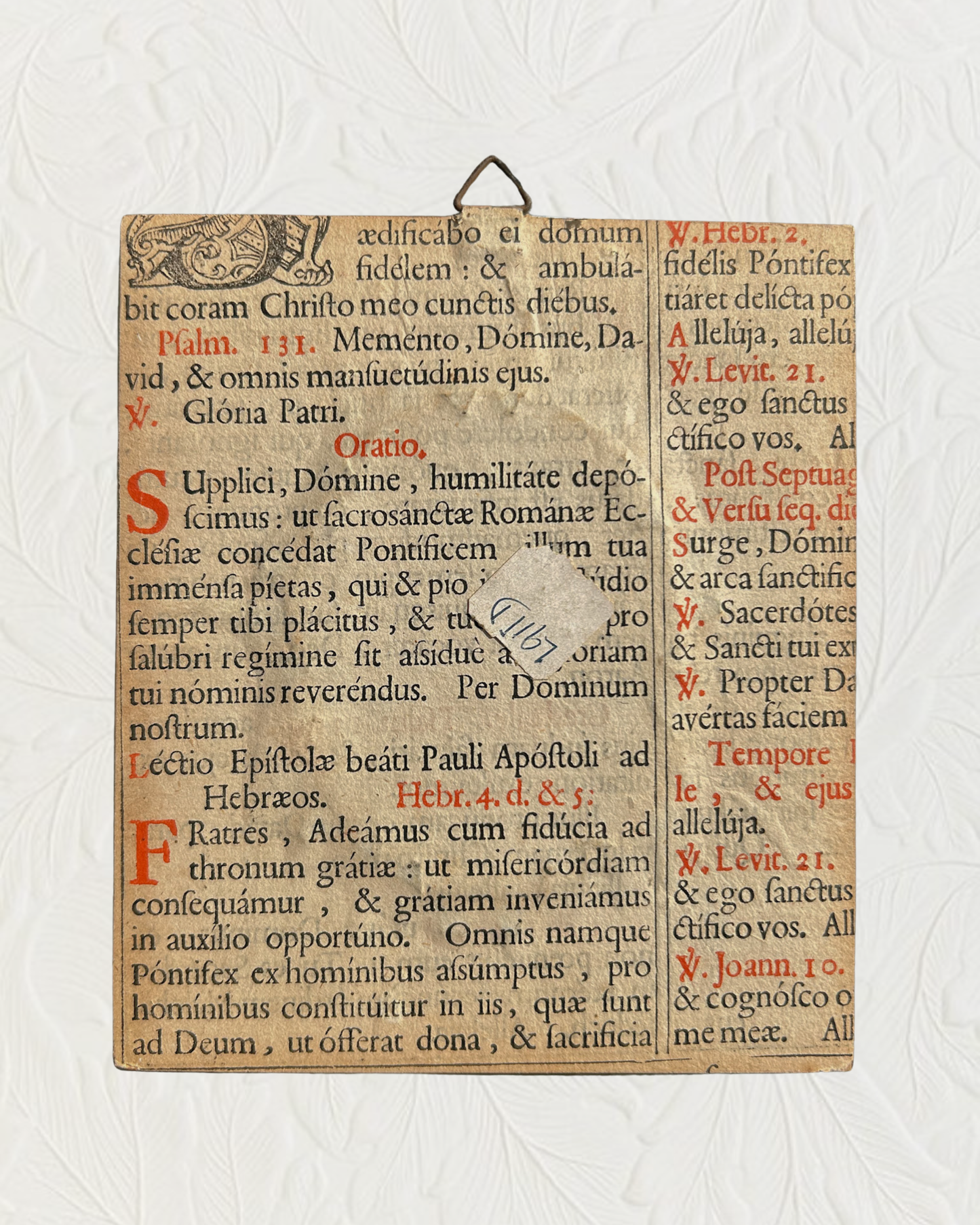 Antique Miniature Portrait of a Lady in Birdseye Maple Frame