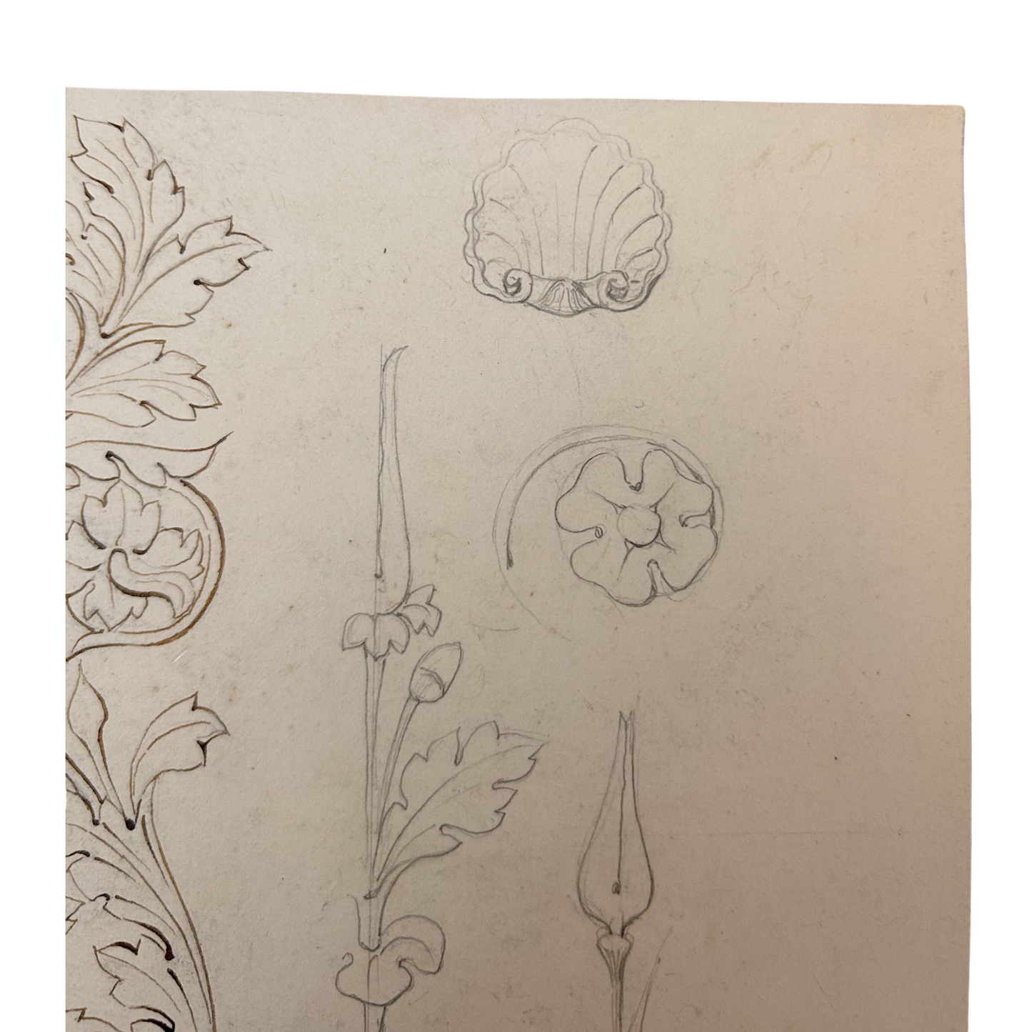 HB Garling Architectural Sketch – Ornamental Floral and Shell Motifs, 1845