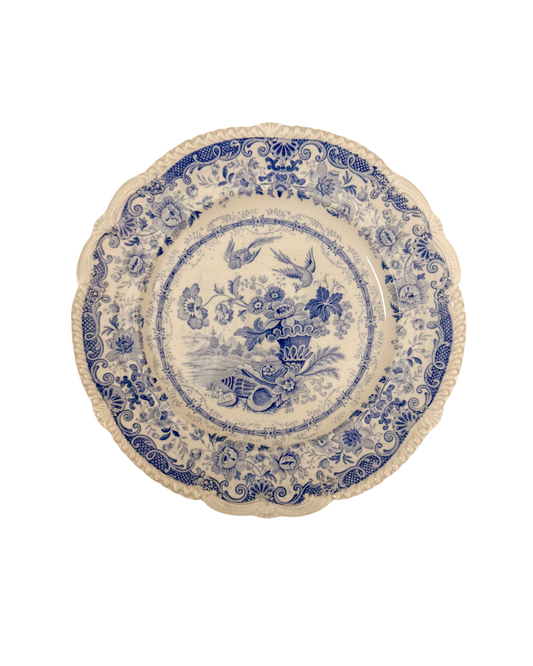 Rare Antique English Transferware Plate | Cornucopia, Shells, Birds & Florals
