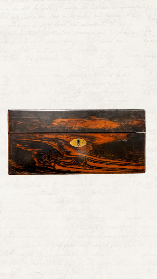 Antique Coromandel Wood English Writing Slope