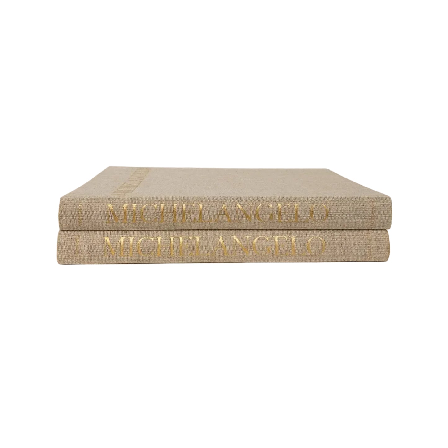 Vintage Michelangelo Books
