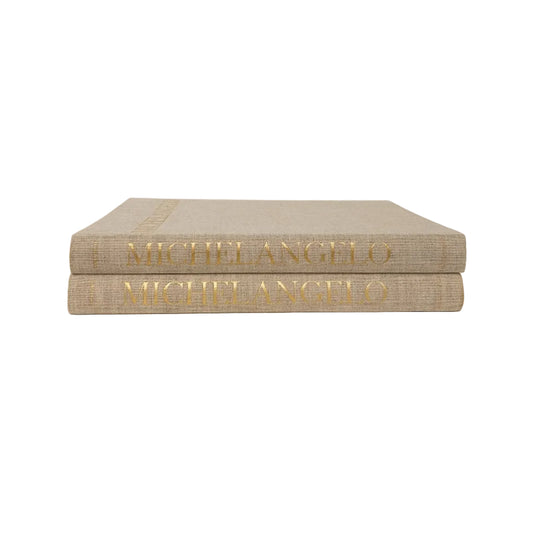 Vintage Michelangelo Books