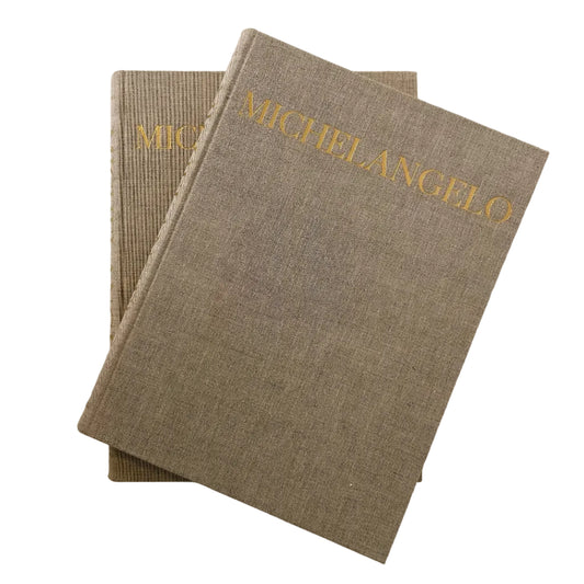Vintage Michelangelo Books