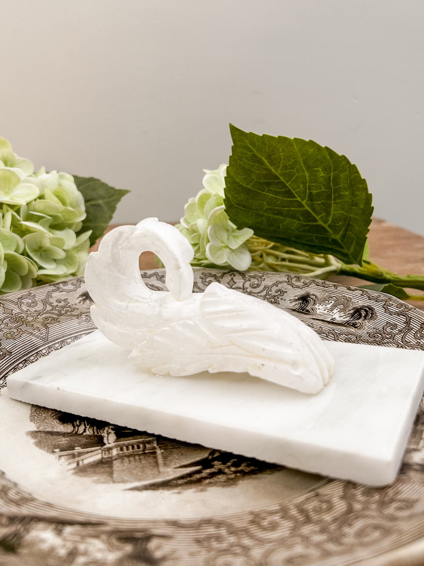Alabaster Acanthus Leaf on Marble Base