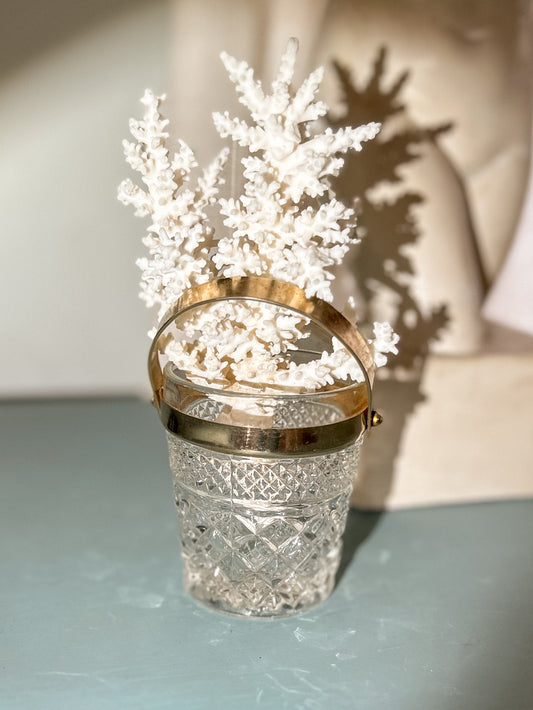 Mini Glass and Brass Ice Bucket with Coral