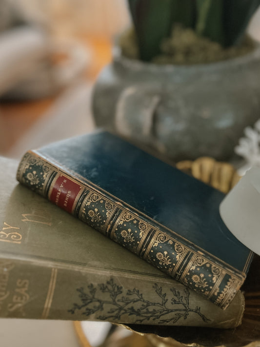 Stanley's Birds 19th Century Full Leather Book