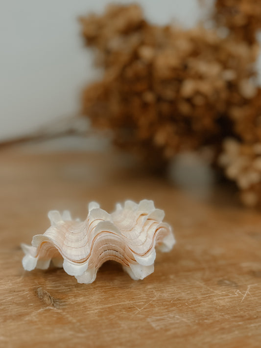 Mini ruffled clam shell pair, light pink