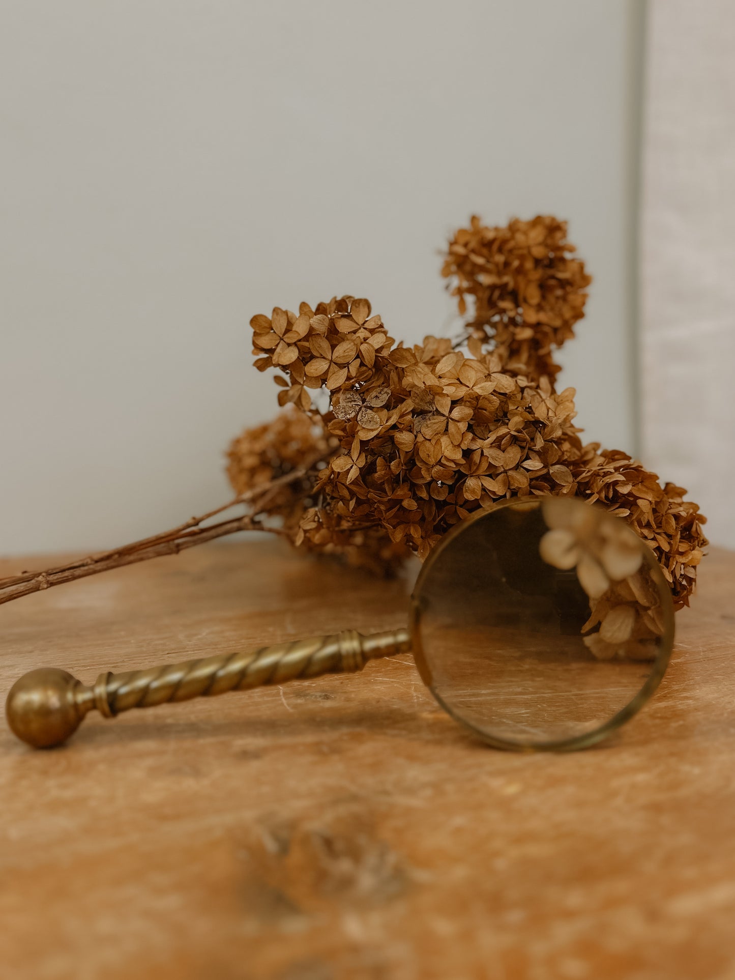 Brass Twist-handle Magnifying Glass