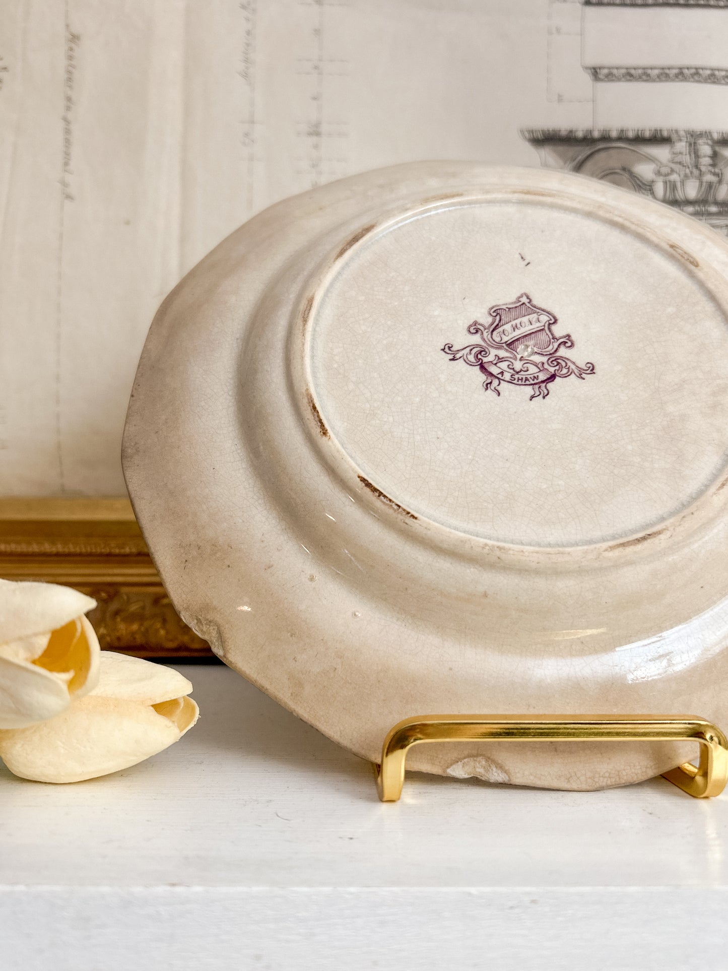A. Shaw “Pomona” Pattern Mulberry Transferware Plate