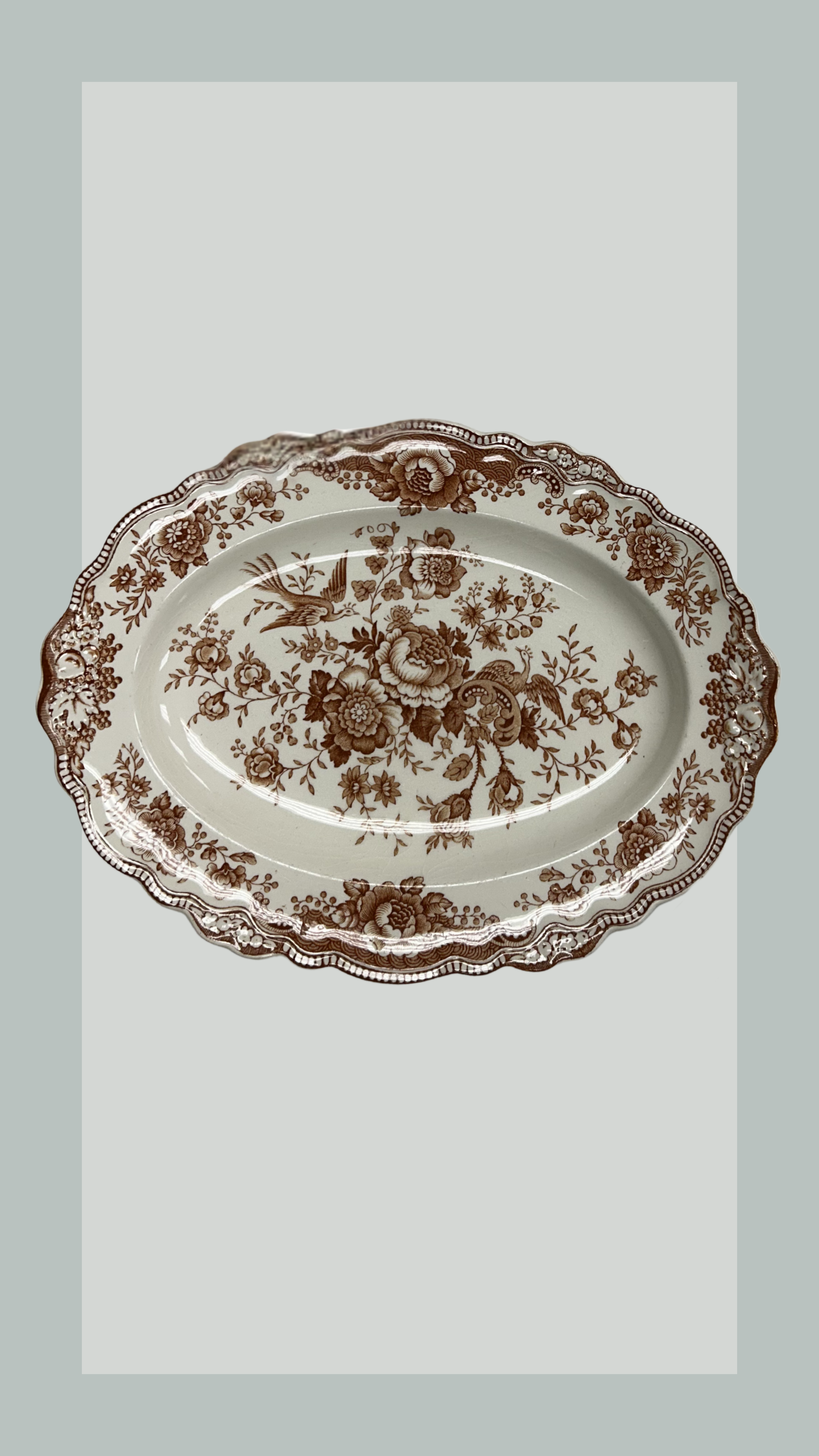 Brown Asiatic Pheasant Platter