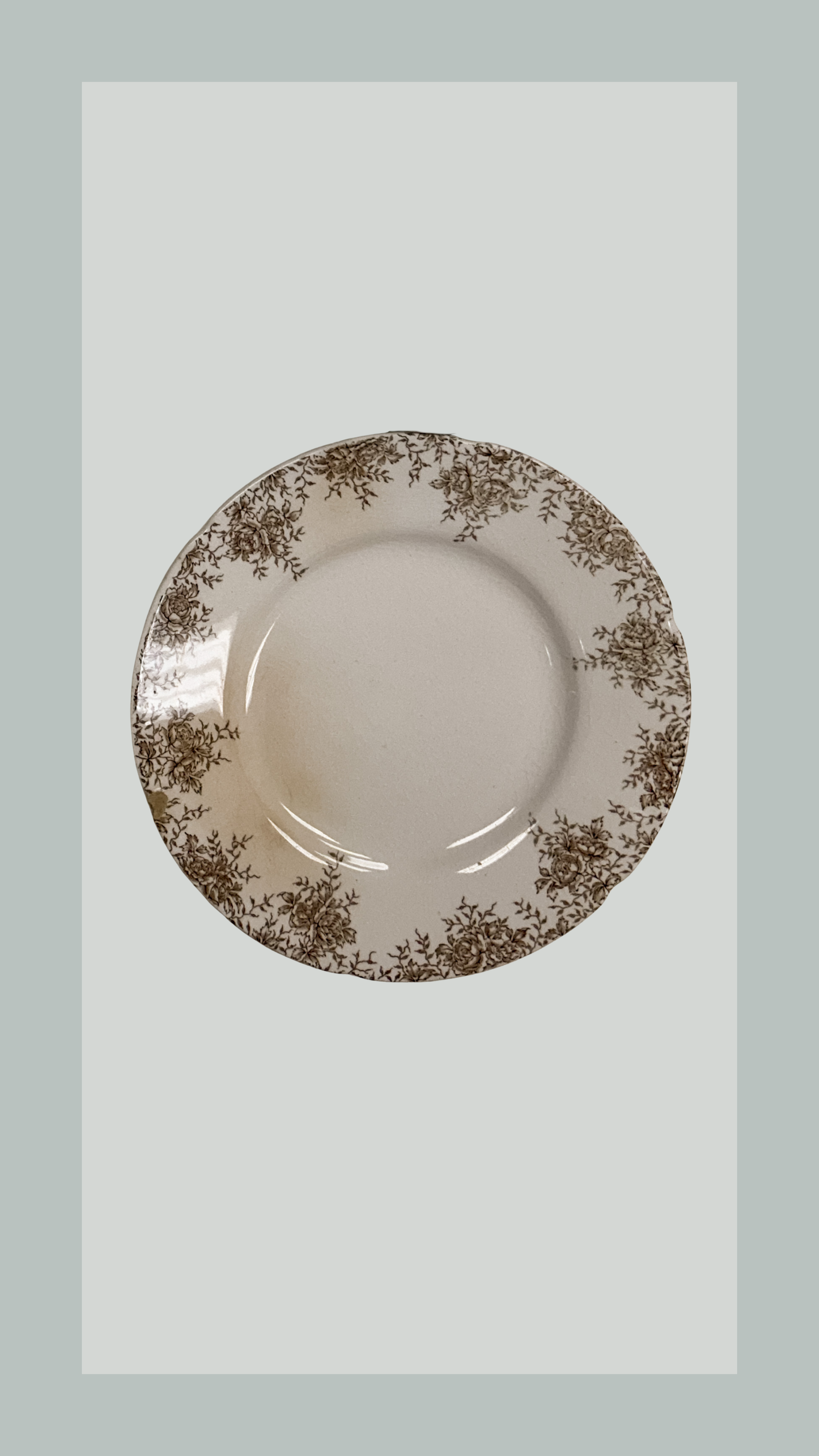 Brown Transferware Plate with Floral Border | Stained & Crazed